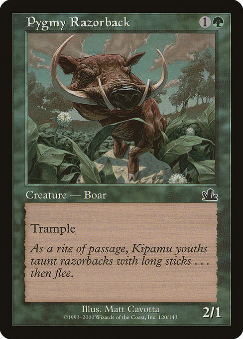 Pygmy Razorback Prophecy PCY