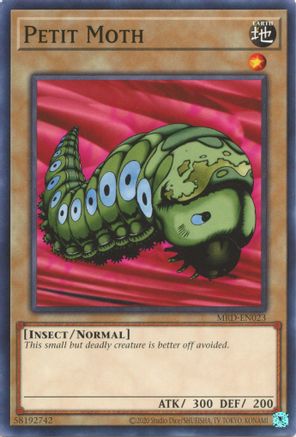 Petit Moth - MRD-EN023