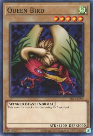 Queen Bird - SRL-EN009