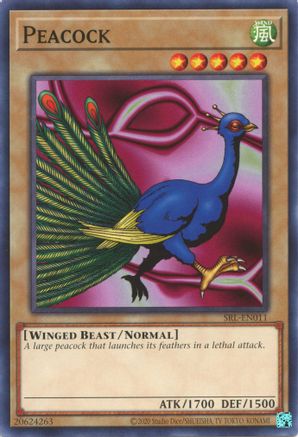 Peacock - SRL-EN011
