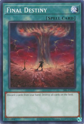 Final Destiny - SRL-EN035