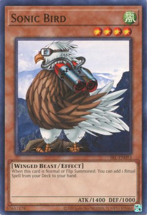 Sonic Bird - SRL-EN093