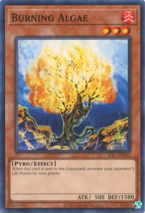 Burning Algae - IOC-EN062