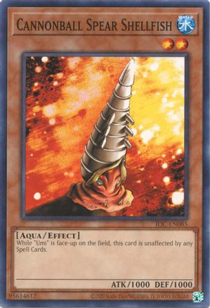 Cannonball Spear Shellfish - IOC-EN085