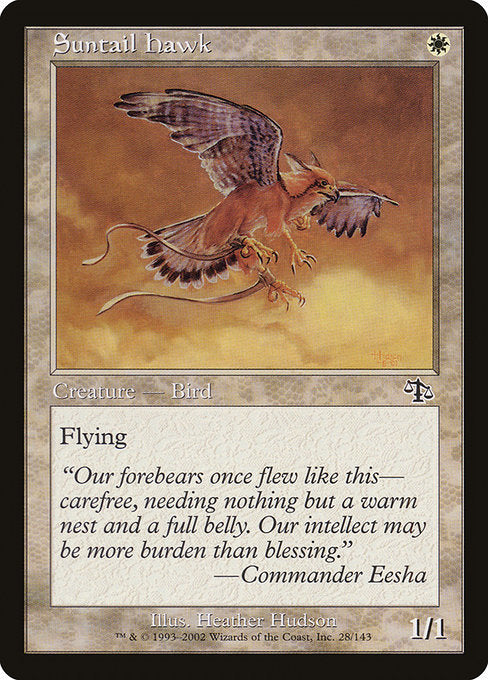 Suntail Hawk Judgment JUD