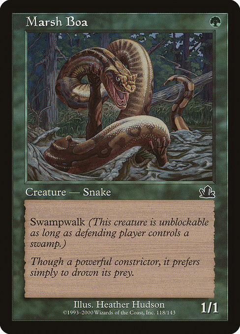 Marsh Boa Prophecy PCY