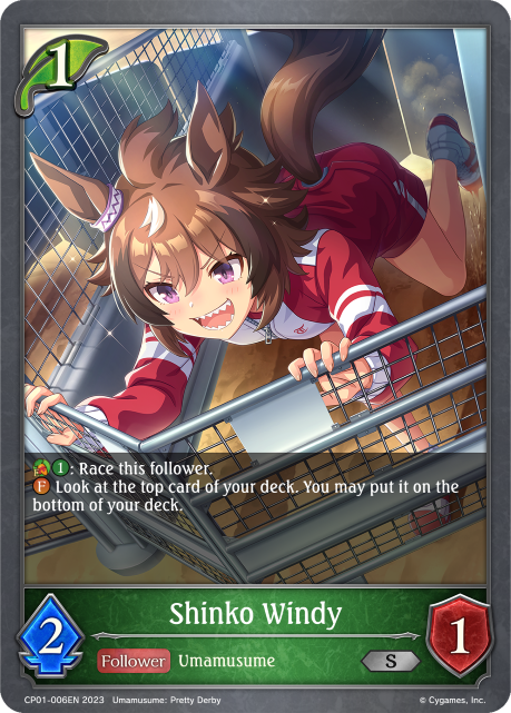 Shinko Windy - CP01-006EN
