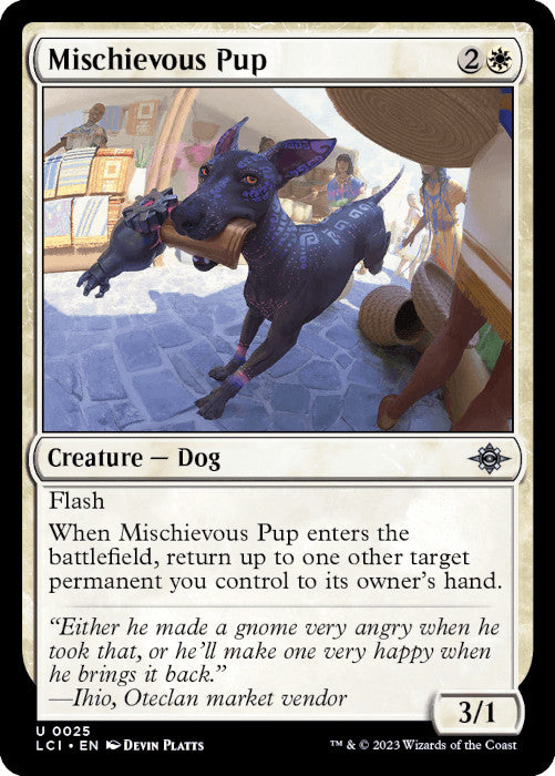 LCI - Mischievous Pup