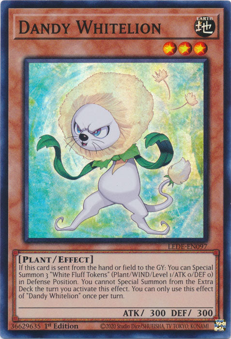 Dandy Whitelion - LEDE-EN097
