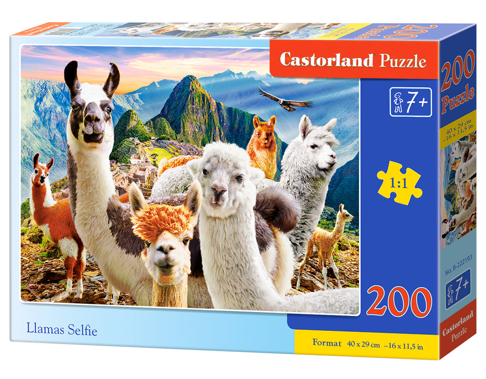Puzzle Castorland