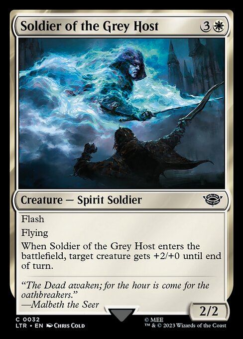 LTR - Soldier of the Grey Host