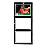 Ultra Pro - 3-Card One-Touch Black Border