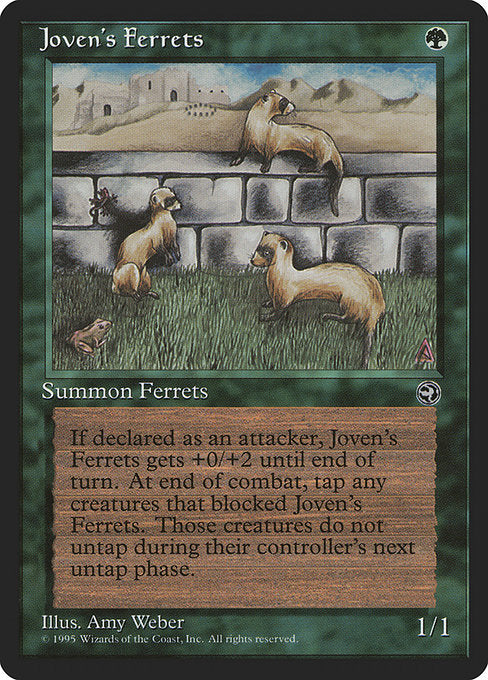 Joven's Ferrets Homelands HML