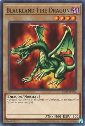 Blackland Fire Dragon - MRD-EN062