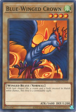 Blue-Winged Crown - MRD-EN122
