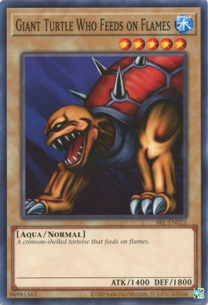 Giant Turtle Who Feeds on Flames - SRL-EN022