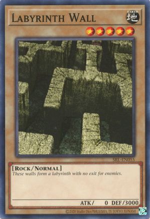 Labyrinth Wall - SRL-EN055