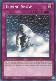 Driving Snow - PSV-EN018