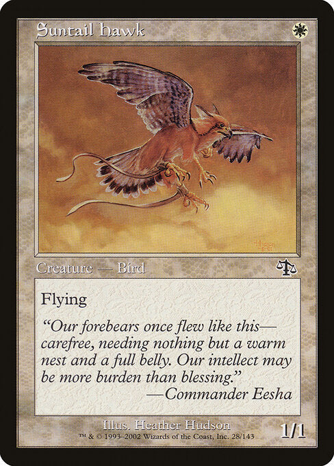 Suntail Hawk - Magic: The Gathering JUD #28