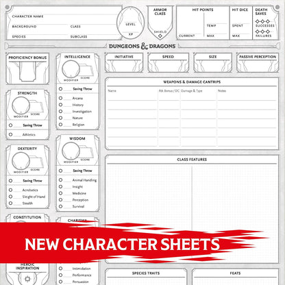 Dungeons & Dragons: Character Sheets - 5th Edition - Box
