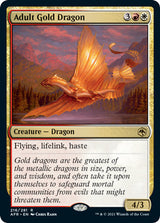 AFR - Adult Gold Dragon