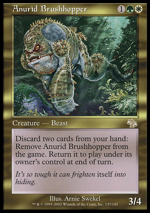 JUD - Anurid Brushhopper