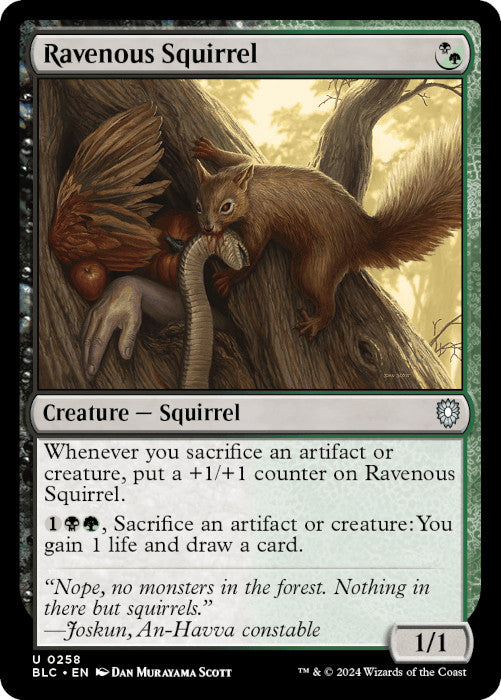 BLC - Ravenous Squirrel