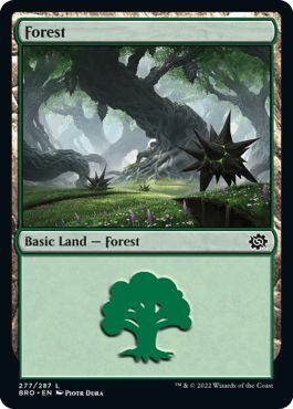 BRO - Forest