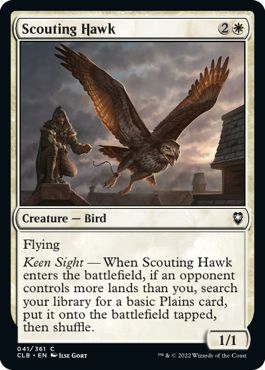 CLB - Scouting Hawk