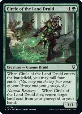 CLB - Circle of the Land Druid