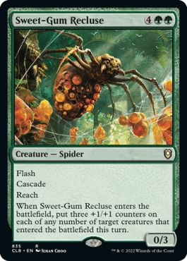 CLB - Sweet-Gum Recluse