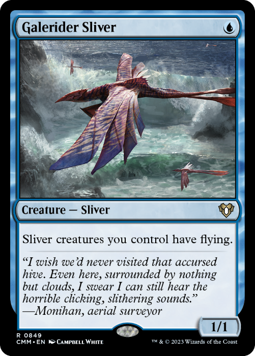 CMM - Galerider Sliver