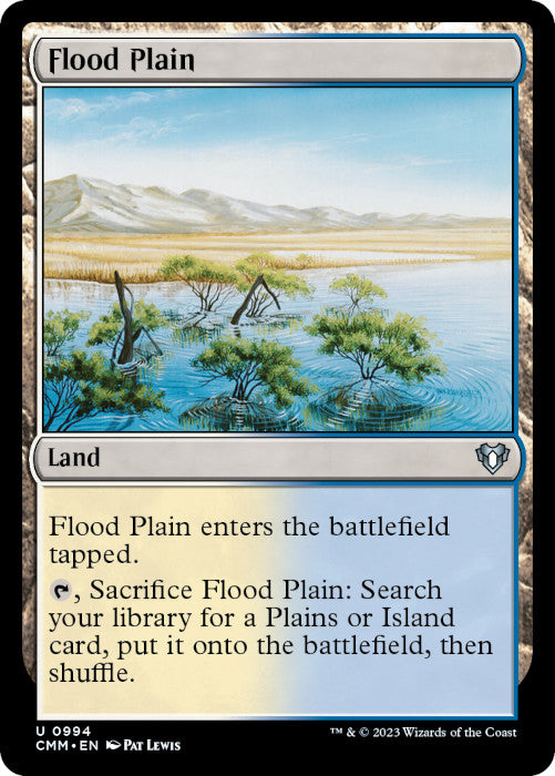 CMM - Flood Plain