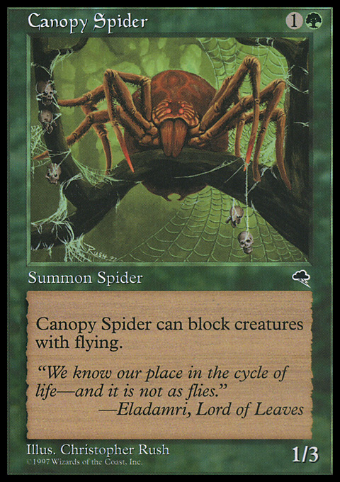 TMP - Canopy Spider