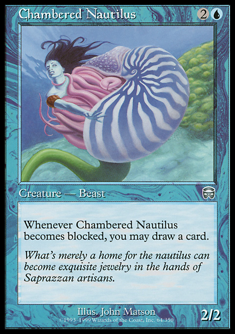 MMQ - Chambered Nautilus