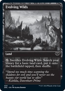 DBL - Evolving Wilds