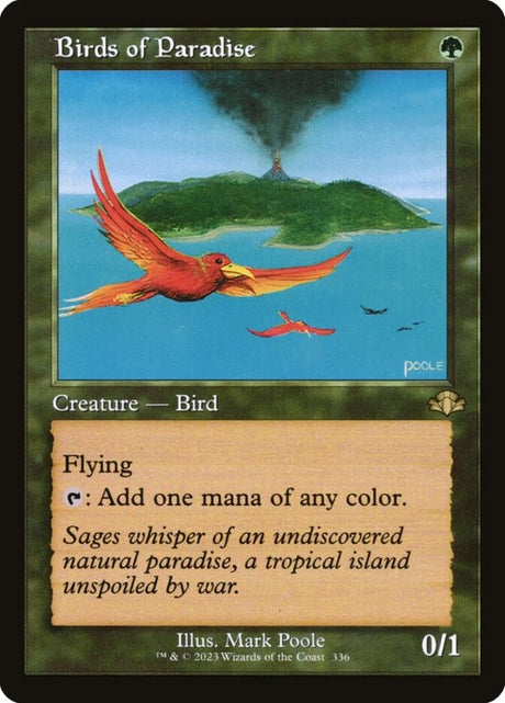 DMR - Birds of Paradise