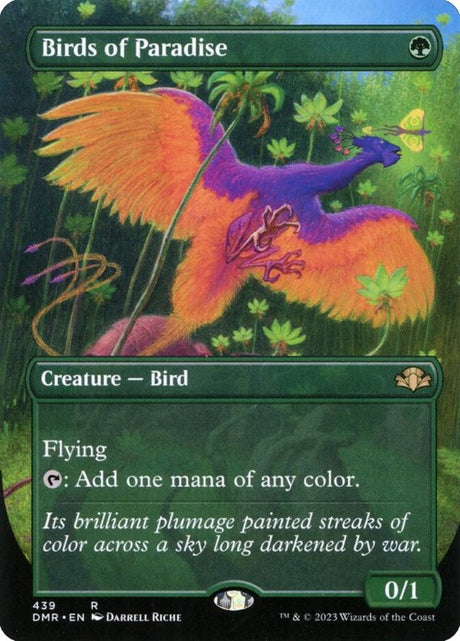 DMR - Birds of Paradise