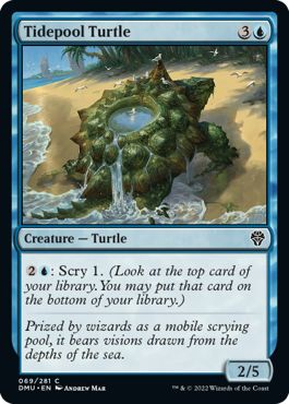 DMU - Tidepool Turtle