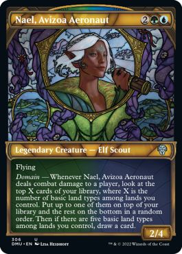 DMU - Nael, Avizoa Aeronaut