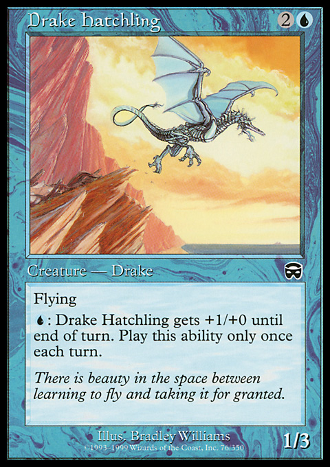 MMQ - Drake Hatchling