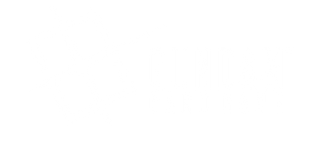Gundam Card Game