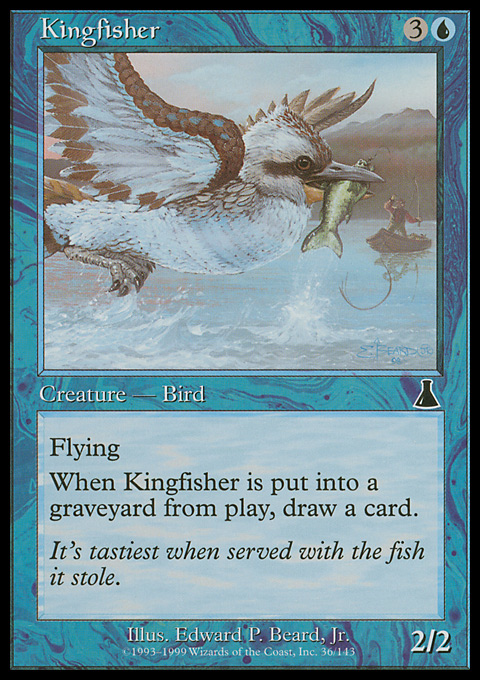 UDS - Kingfisher