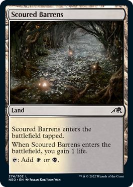 NEO - Scoured Barrens