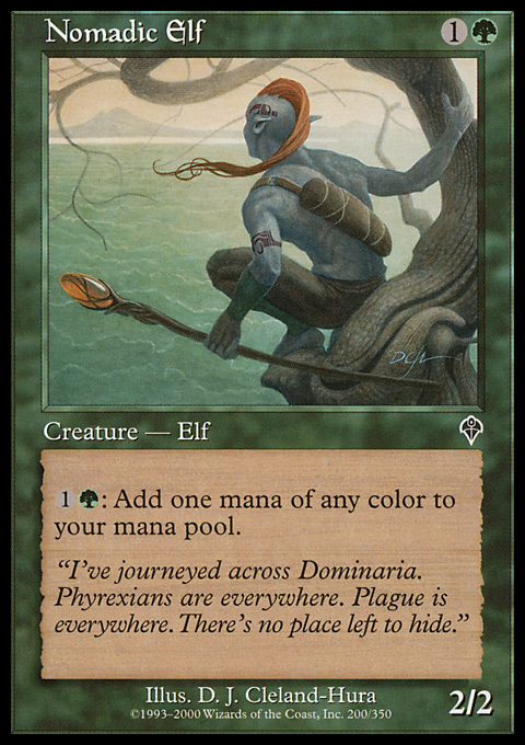 INV - Nomadic Elf