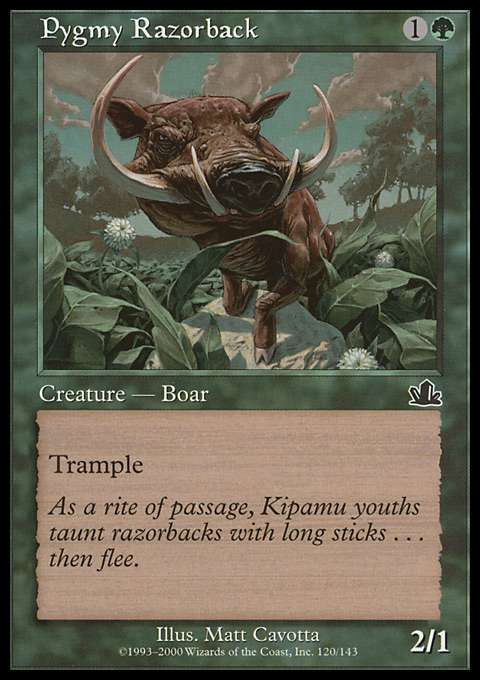 PCY - Pygmy Razorback