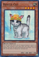 Rescue Cat - RA02-EN001