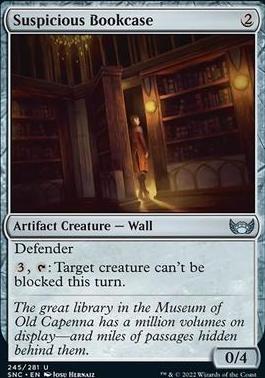 SNC - Suspicious Bookcase