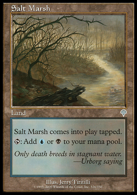 INV - Salt Marsh