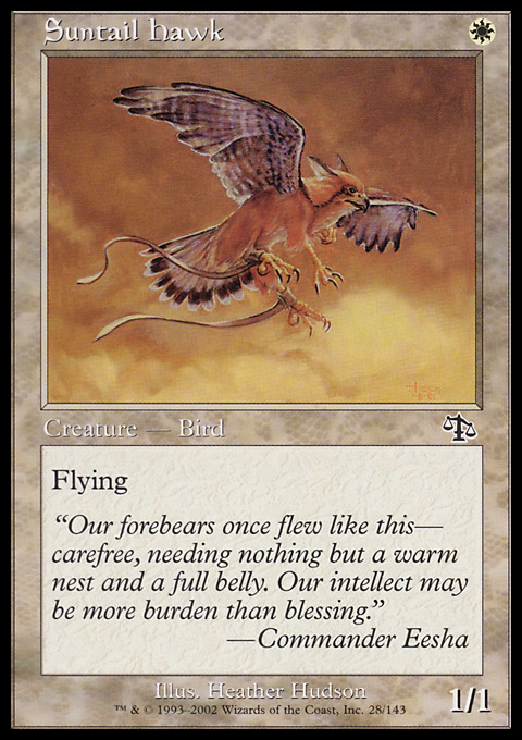 JUD - Suntail Hawk